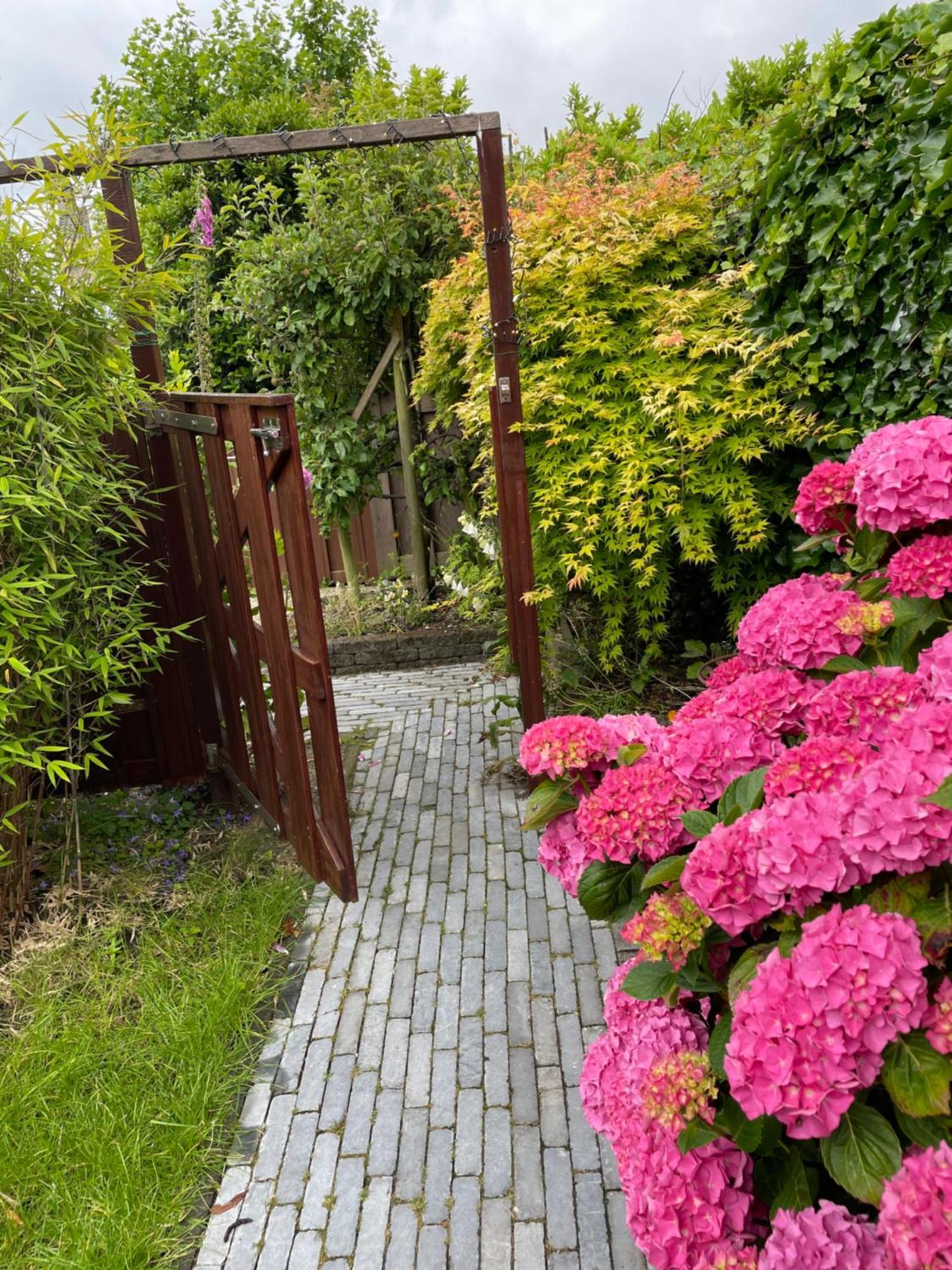 Bed & Breakfast Danina Sassenheim Exterior photo