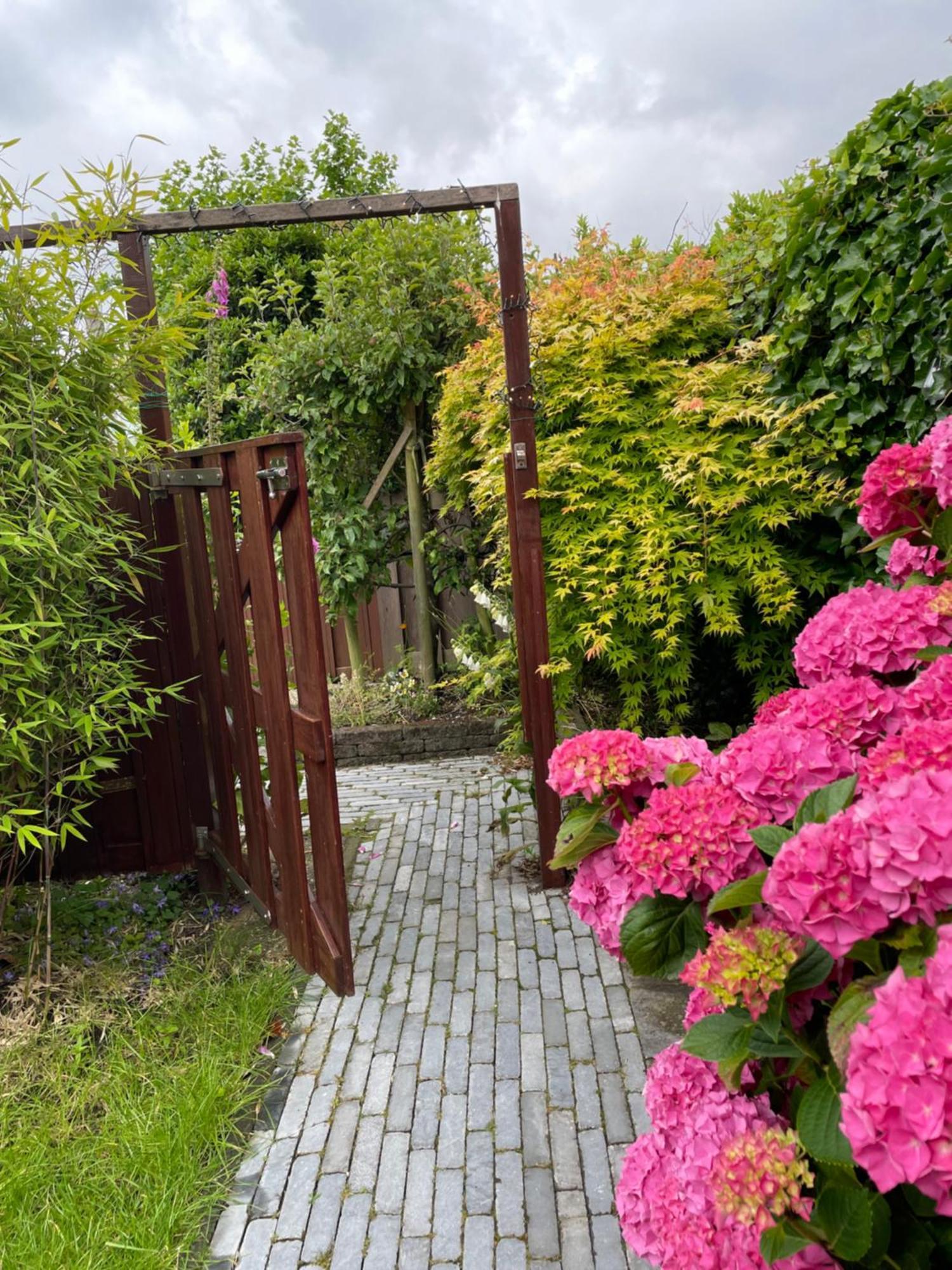 Bed & Breakfast Danina Sassenheim Exterior photo